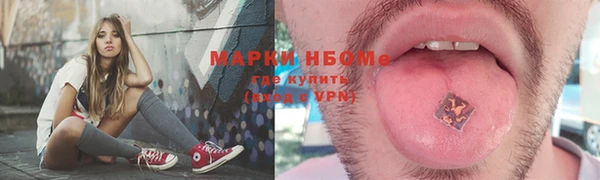 индика Баксан