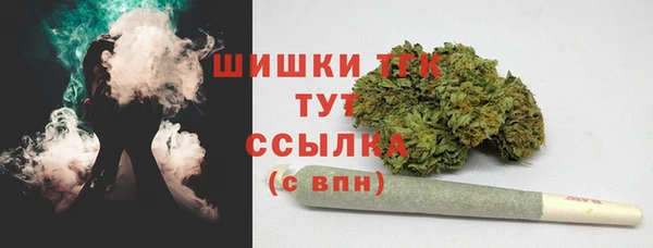 индика Баксан