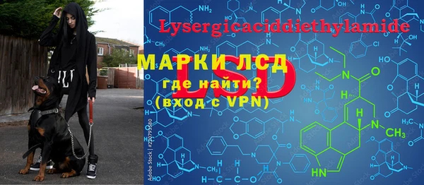 индика Баксан