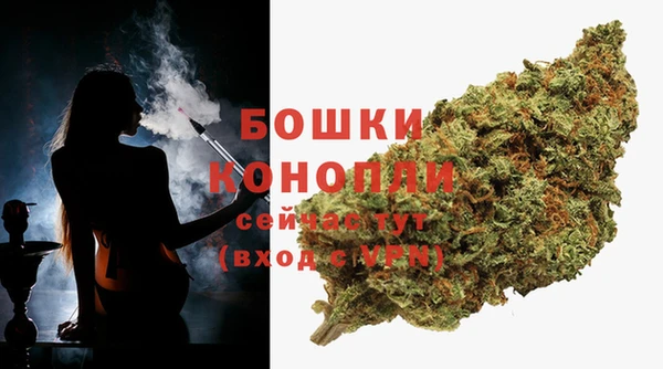 индика Белоозёрский
